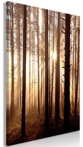 Canvas Tavla - Forest Paths Vertical - 40x60