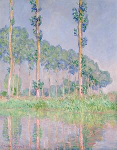 Bildreproduktion Poplars, Pink Effect (1891), Claude Monet