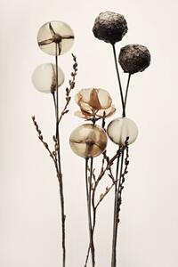 Illustration Glass Ball Flowers, Treechild