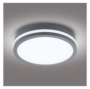 Brilagi - Utomhus LED belysning BENE LED/24W/230V diameter 26 cm IP54