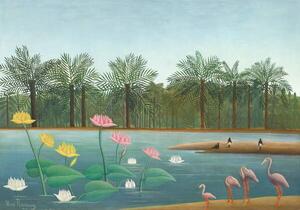 Bildreproduktion Flamingos, 1910, Rousseau, Henri J.F. (Le Douanier)