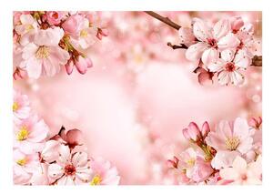 Självhäftande Fototapet - Magical Cherry Blossom - 343x245