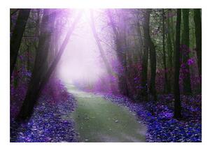 Självhäftande Fototapet - Purple path - 196x140