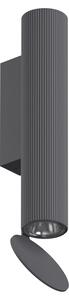 Flos - Flauta H225 Riga Outdoor, Anthracite, Inkl. 12W LED 2x555lm 2700K - Vägglampor utomhus - Patricia Urquiola - Svart