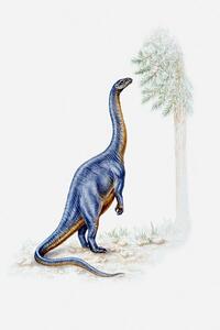 Illustration Illustration of a Plateosaurus reaching for, Dorling Kindersley