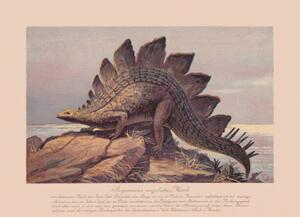 Illustration Stegosaurus ungulatus, Late Jurassic, chromolithograph, published, ZU_09