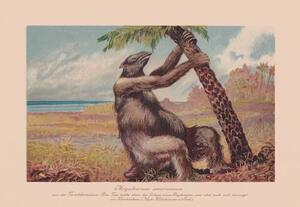 Illustration Megatherium americanum, extinct giant ground sloth,, ZU_09