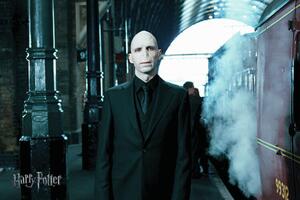 Konsttryck Voldemort, (40 x 26.7 cm)