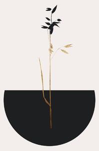 Illustration Planta Negra, Kubistika, (26.7 x 40 cm)