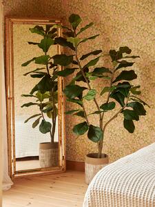 Konstväxt Ficus - 150cm