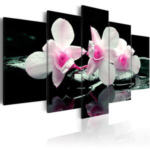Canvas Tavla - Rest of orchids - 100x50