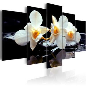 Canvas Tavla - Orchids with orange accent - 100x50