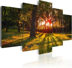 Canvas Tavla - In the shade of forest - 100x50