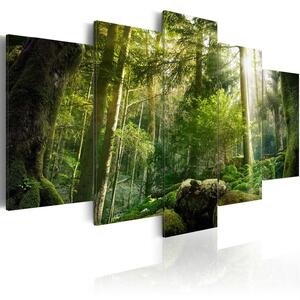 Canvas Tavla - The Beauty of the Forest - 100x50