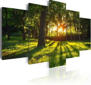 Canvas Tavla - The forest reflection - 200x100