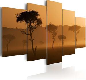 Canvas Tavla - Fog over a savannah - 100x50