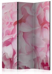Rumsavdelare / Skärmvägg - azalea (pink) - 135x172