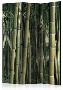 Rumsavdelare / Skärmvägg - Bamboo Exotic - 135x172