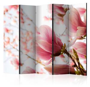 Rumsavdelare / Skärmvägg - Pink magnolia II - 225x172