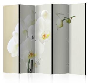 Rumsavdelare / Skärmvägg - White orchid II - 225x172