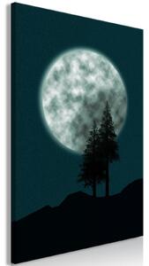 Canvas Tavla - Beautiful Full Moon Vertical - 40x60