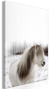 Canvas Tavla - Horse Mane Vertical - 40x60