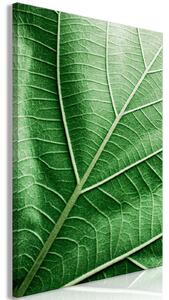 Canvas Tavla - Malachite Leaf Vertical - 40x60