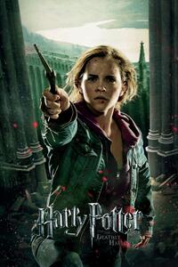 Konsttryck Harry Potter - Hermione Granger, (26.7 x 40 cm)