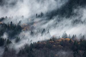 Fotografi A path of the fog, Tomomi Yamada