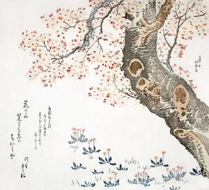 Bildreproduktion Cherry tree (1822), Katsushika Hokusai