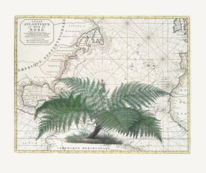 Illustration Tropical Empire No4, Andrea Haase