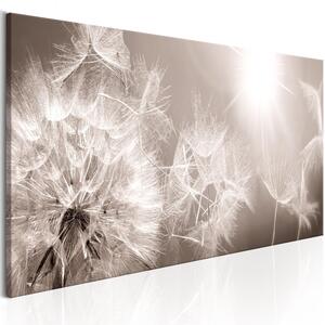 Canvas Tavla - Summer Dandelions - 120x40