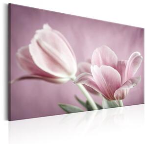 Canvas Tavla - Romantic Tulips - 60x40