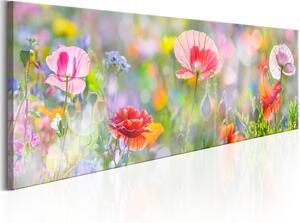 Canvas Tavla - Rainbow of Morning Poppies - 135x45
