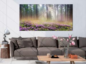 Canvas Tavla - Purple Meadow Wide - 70x35