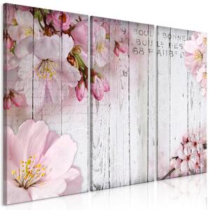 Canvas Tavla - Flowers on Boards (3 delar) - 90x60