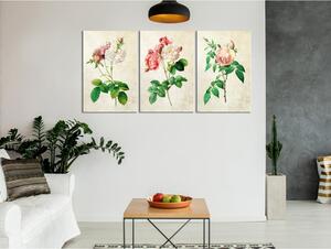 Canvas Tavla - Floral Trio (Collection) - 60x30