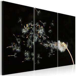 Canvas Tavla - Dandelions- the transience - 60x40