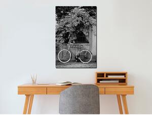 Canvas Tavla - Bicycle and Flowers Vertical - 40x60