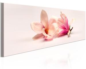 Canvas Tavla - Beautiful Magnolias - 120x40