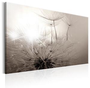 Canvas Tavla - Beautiful Summer: Dandelions - 90x60