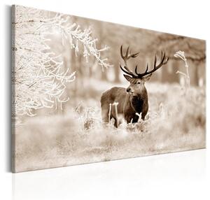 Canvas Tavla - Deer in Sepia - 90x60