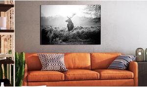 Canvas Tavla - Black and White Deer - 120x80