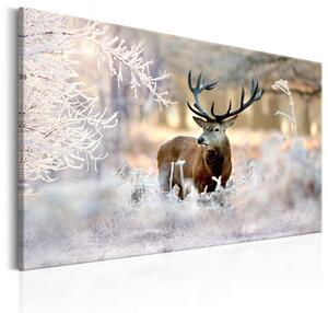 Canvas Tavla - Deer in the Cold - 90x60