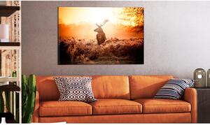 Canvas Tavla - Deer in the Sun - 120x80