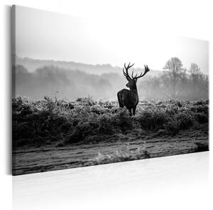 Canvas Tavla - Deer in the Wild - 90x60