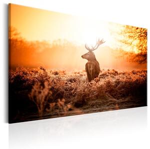 Canvas Tavla - Deer in the Sun - 90x60