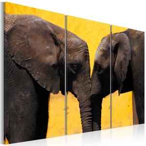 Canvas Tavla - Elephant kiss - 60x40