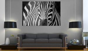 Canvas Tavla - Mrs Zebra - 90x60