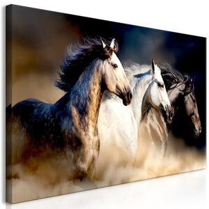 Canvas Tavla - Sons of the Wind Wide - 70x35